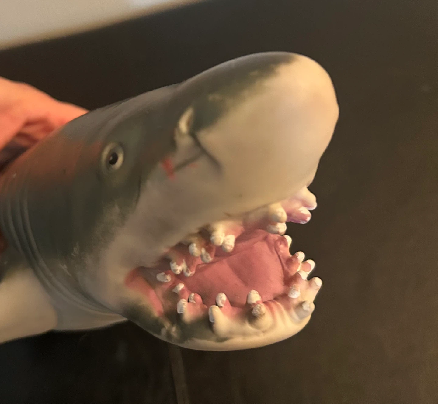 Rubber Shark Toy - photo 2
