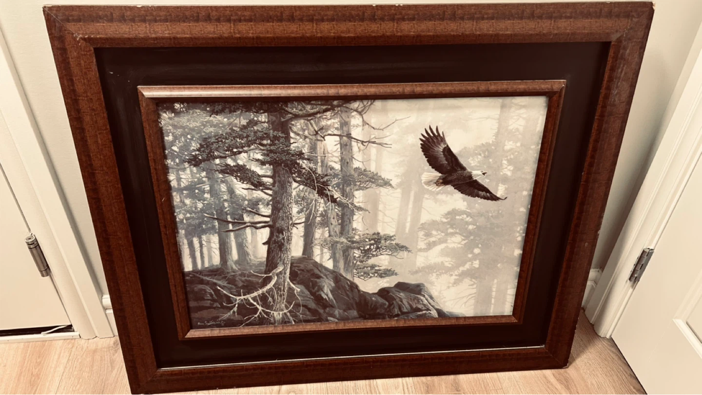 Framed Wildlife Art Print - Eagle in Forest