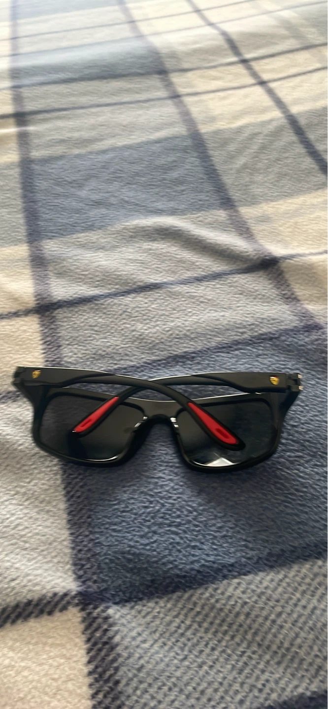 Sculderia Ferrari Sunglasses
