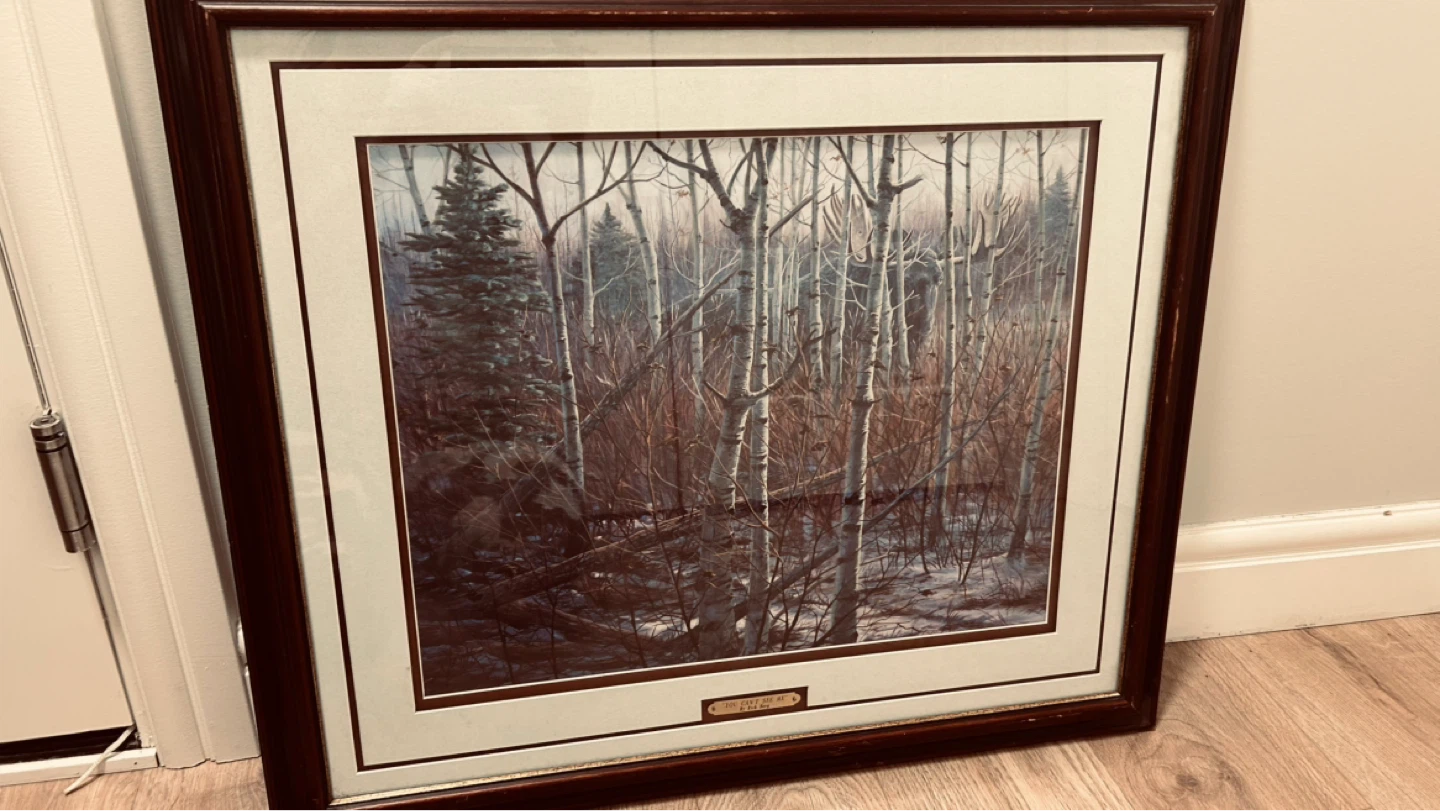 Rick Berg “You Can’t See Me” Framed Wildlife Forest Print