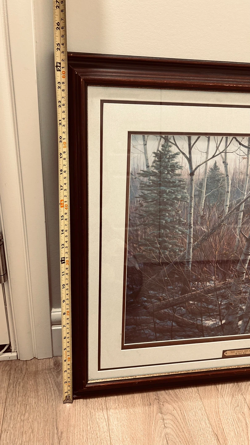 Rick Berg “You Can’t See Me” Framed Wildlife Forest Print - photo 3