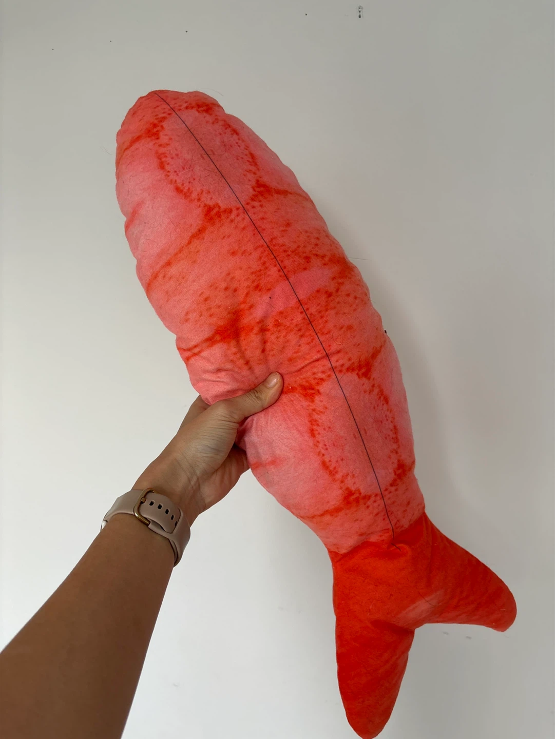 Plush Cat Kicker Toy