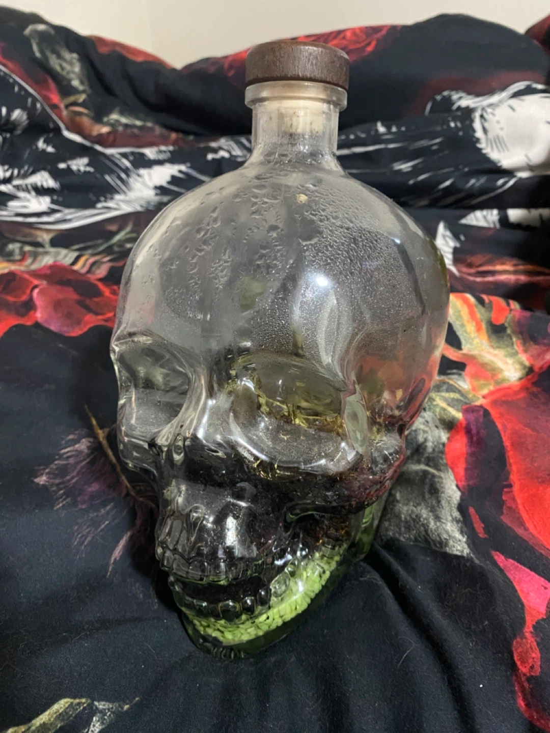 Skull Shaped Glass Bottle terrarium