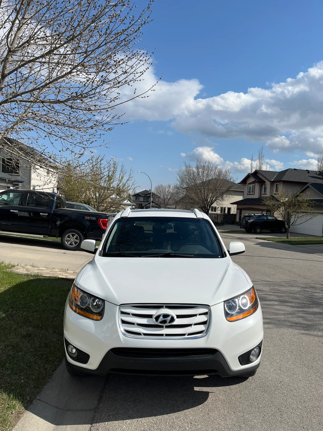 2010 Hyundai Santa Fe Limited SUV - photo 4