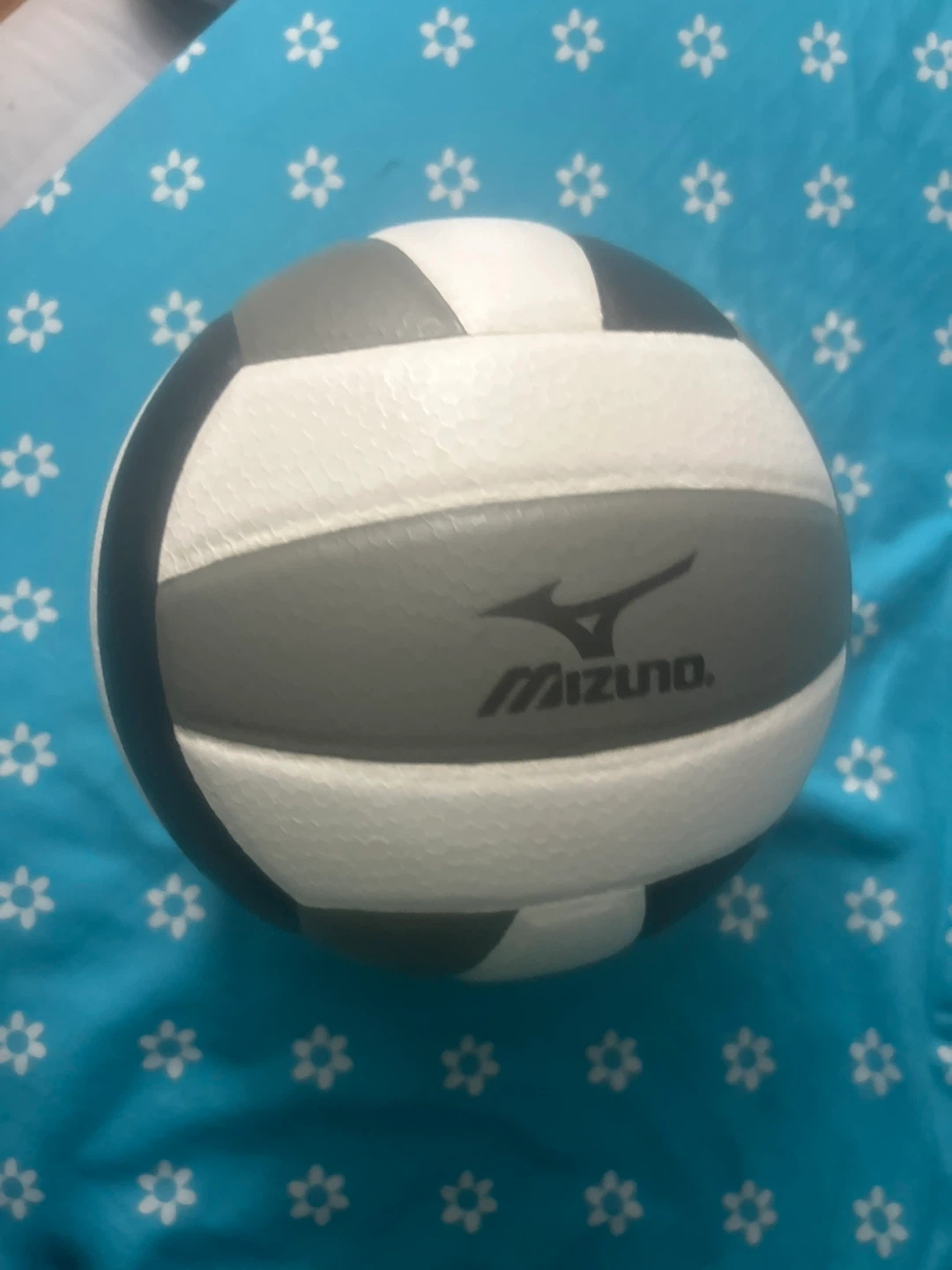 Mizuno MZ5 Volleyball