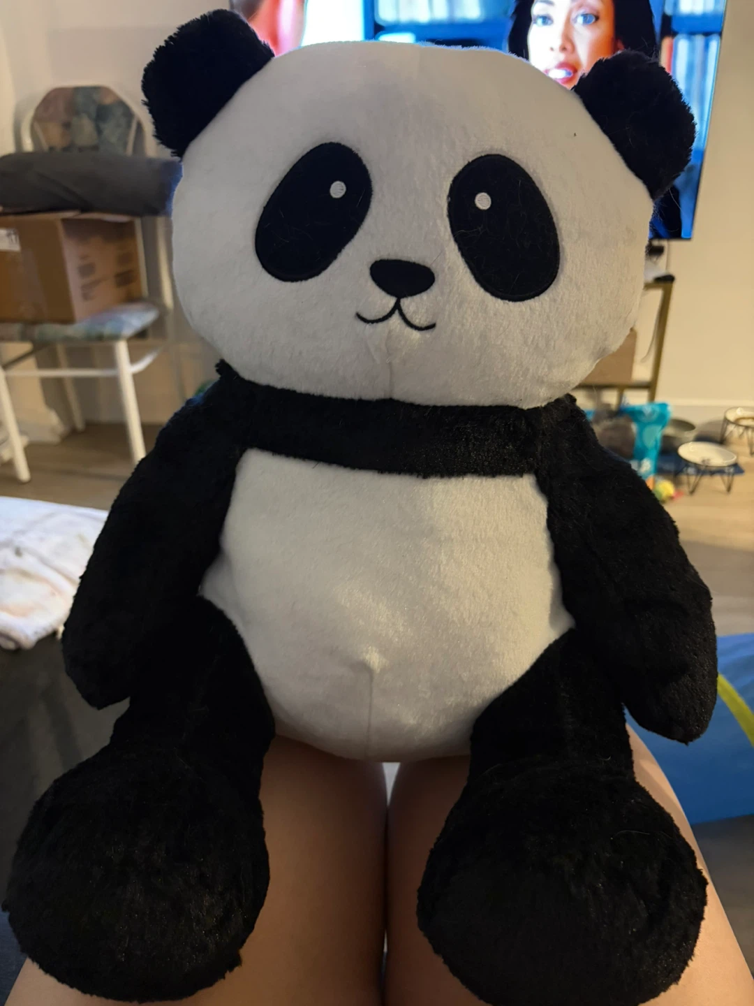 Heated Panda Plush Toy - photo 3