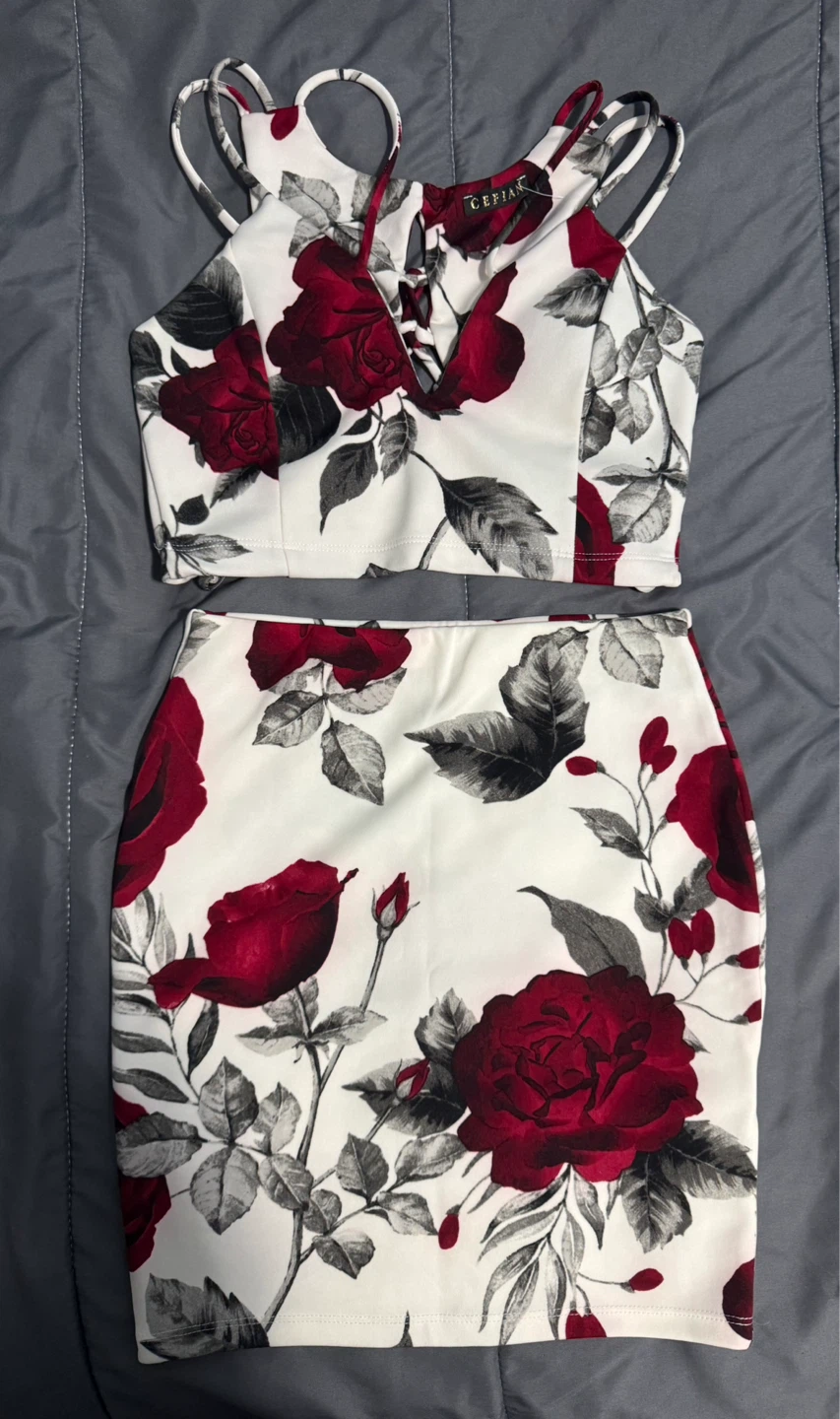 Rose Print Crop Top and Skirt Set