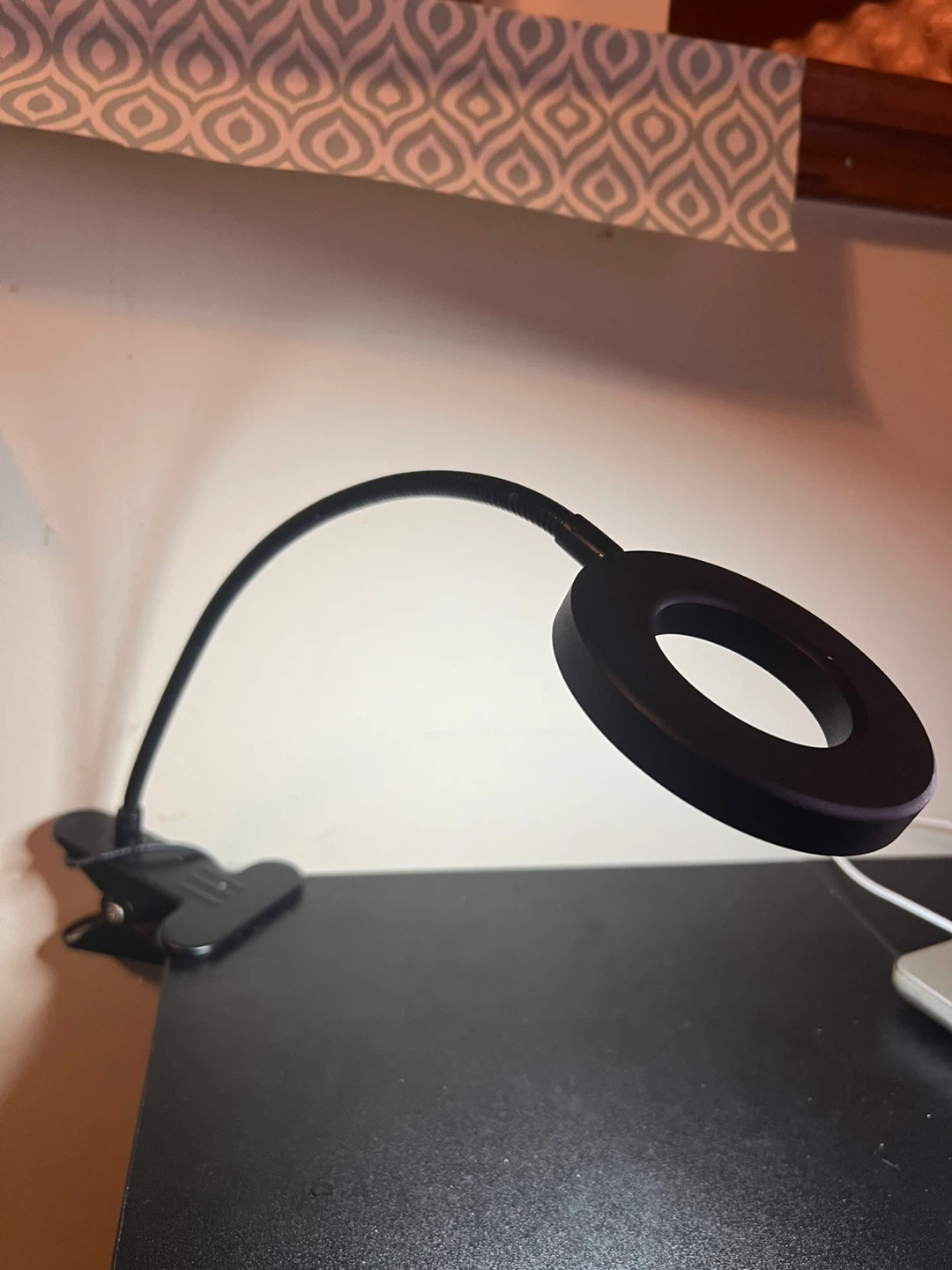 Clip-on Ring Light Desk Lamp