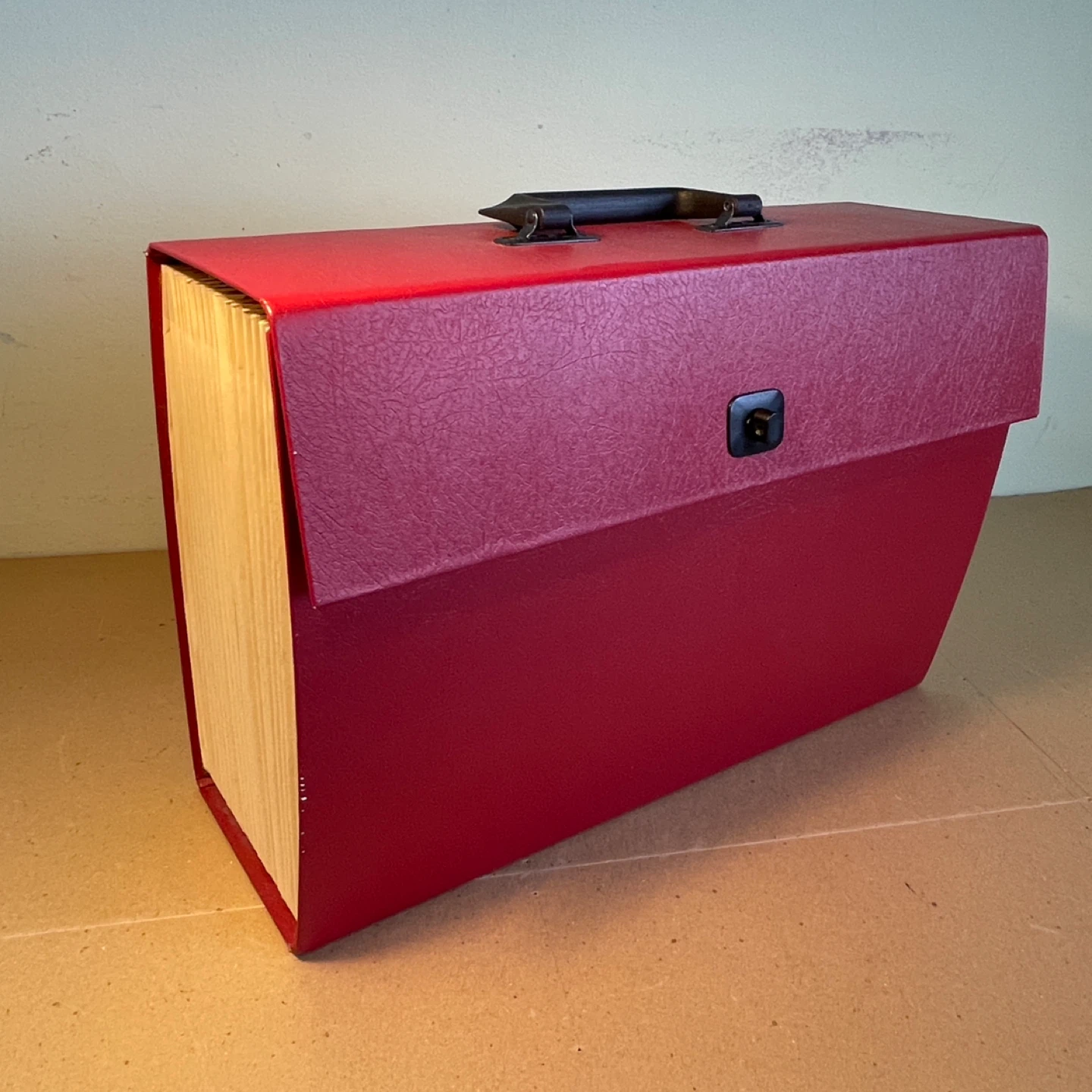 Portable File Organizer with Handle