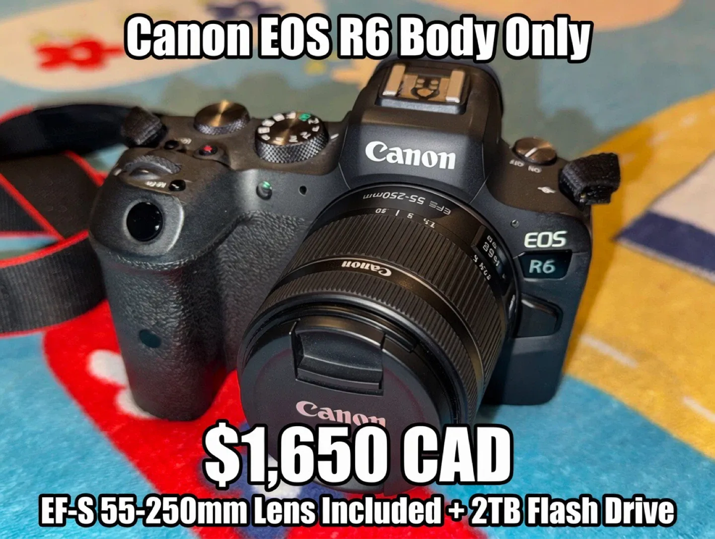 Canon EOS R6 With Lens