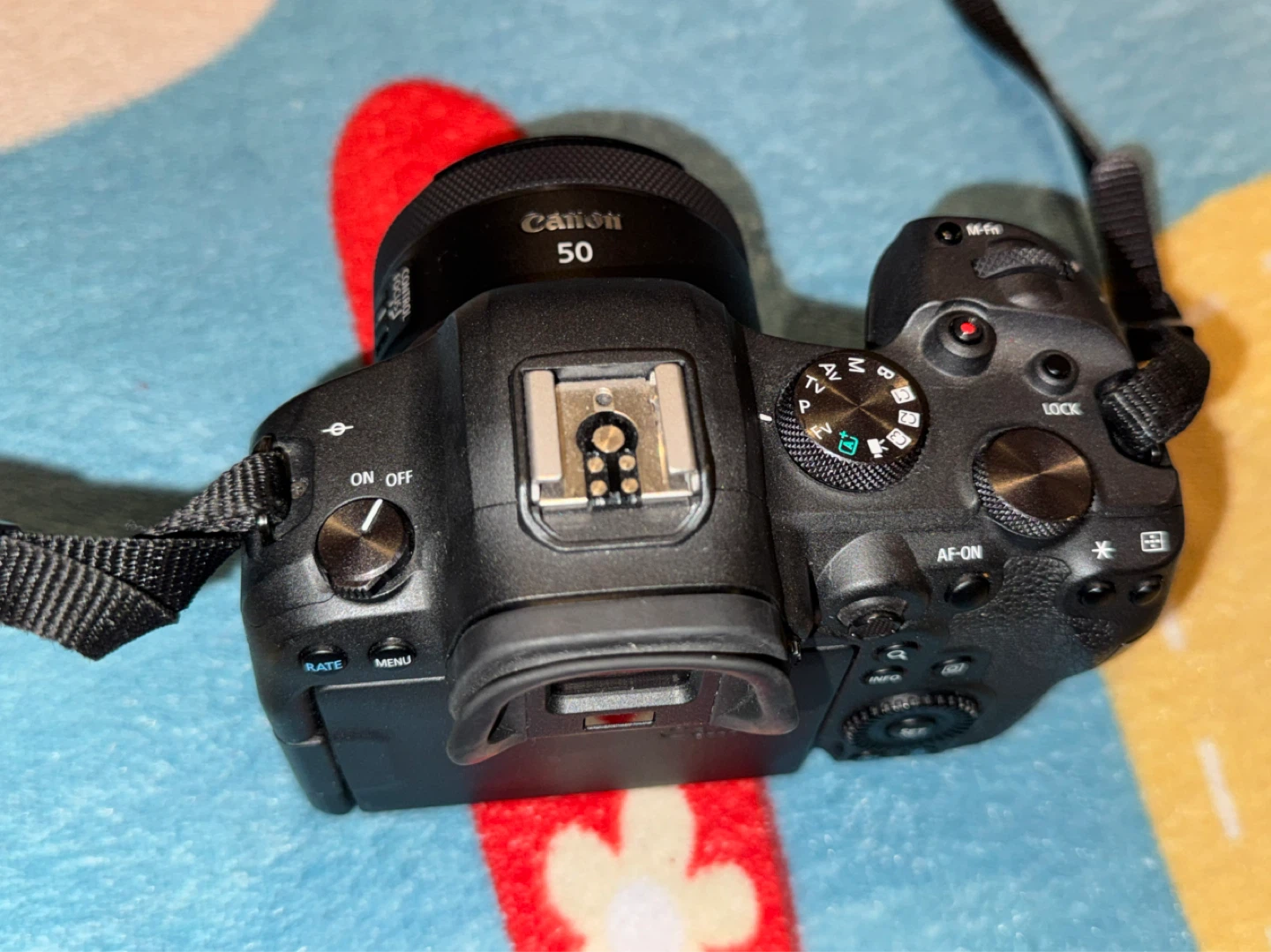 Canon EOS R6 With Lens - photo 3