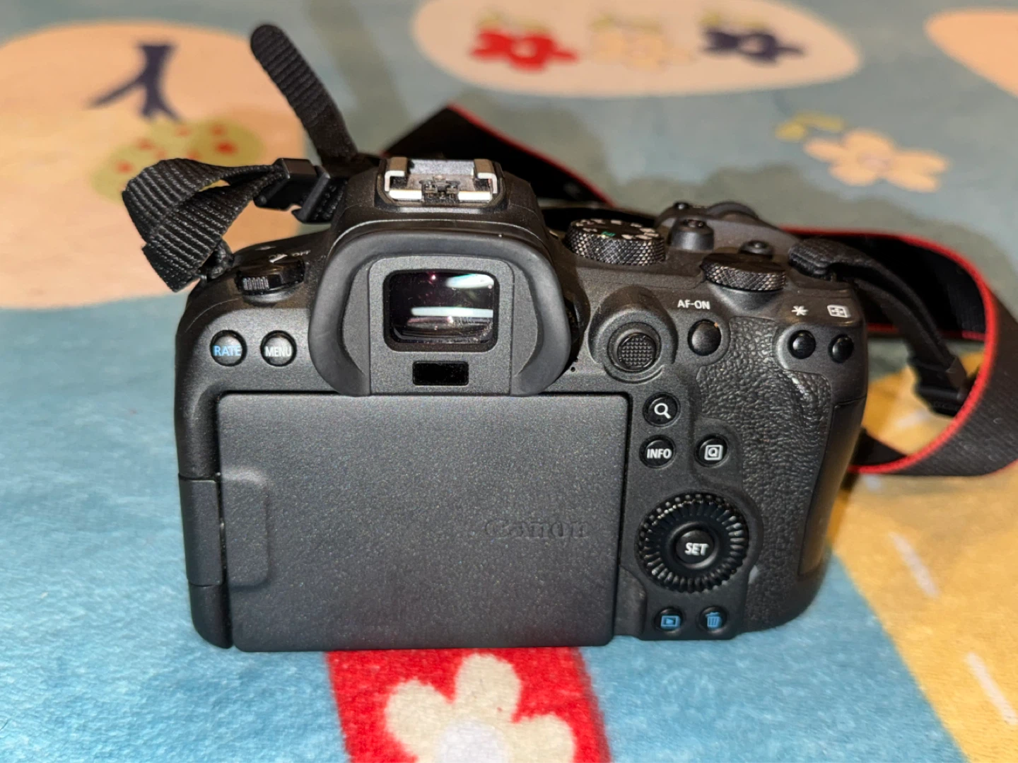 Canon EOS R6 With Lens - photo 2