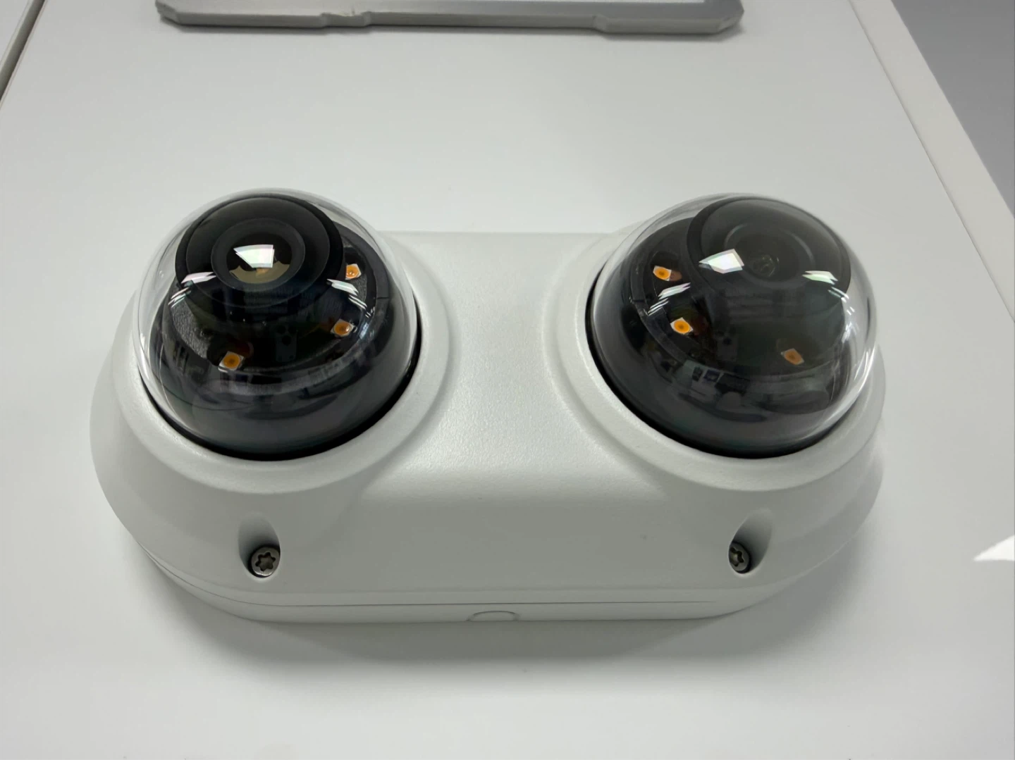 Double Dome Security Camera