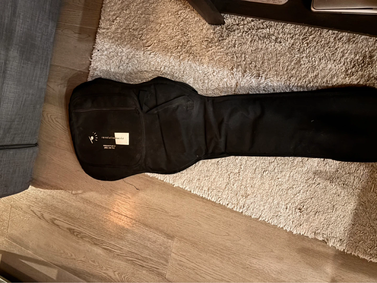 Guitar / Bass Padded Case