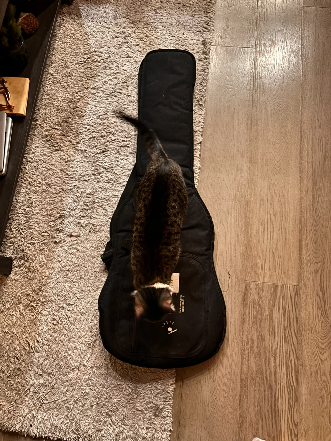 Guitar / Bass Padded Case - photo 2