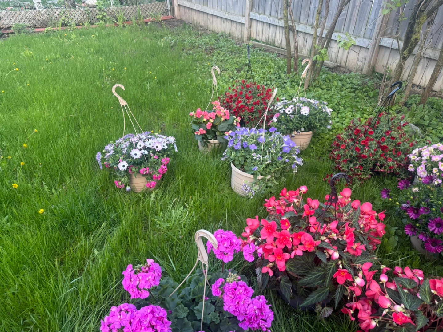 Assorted Hanging Flower  Baskets - photo 2