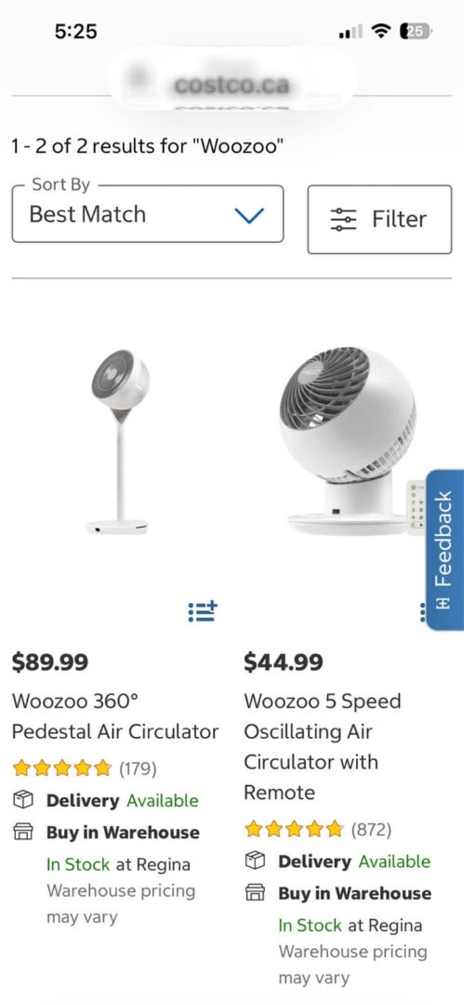 Woozoo FAN! Brand new in the box! - photo 3