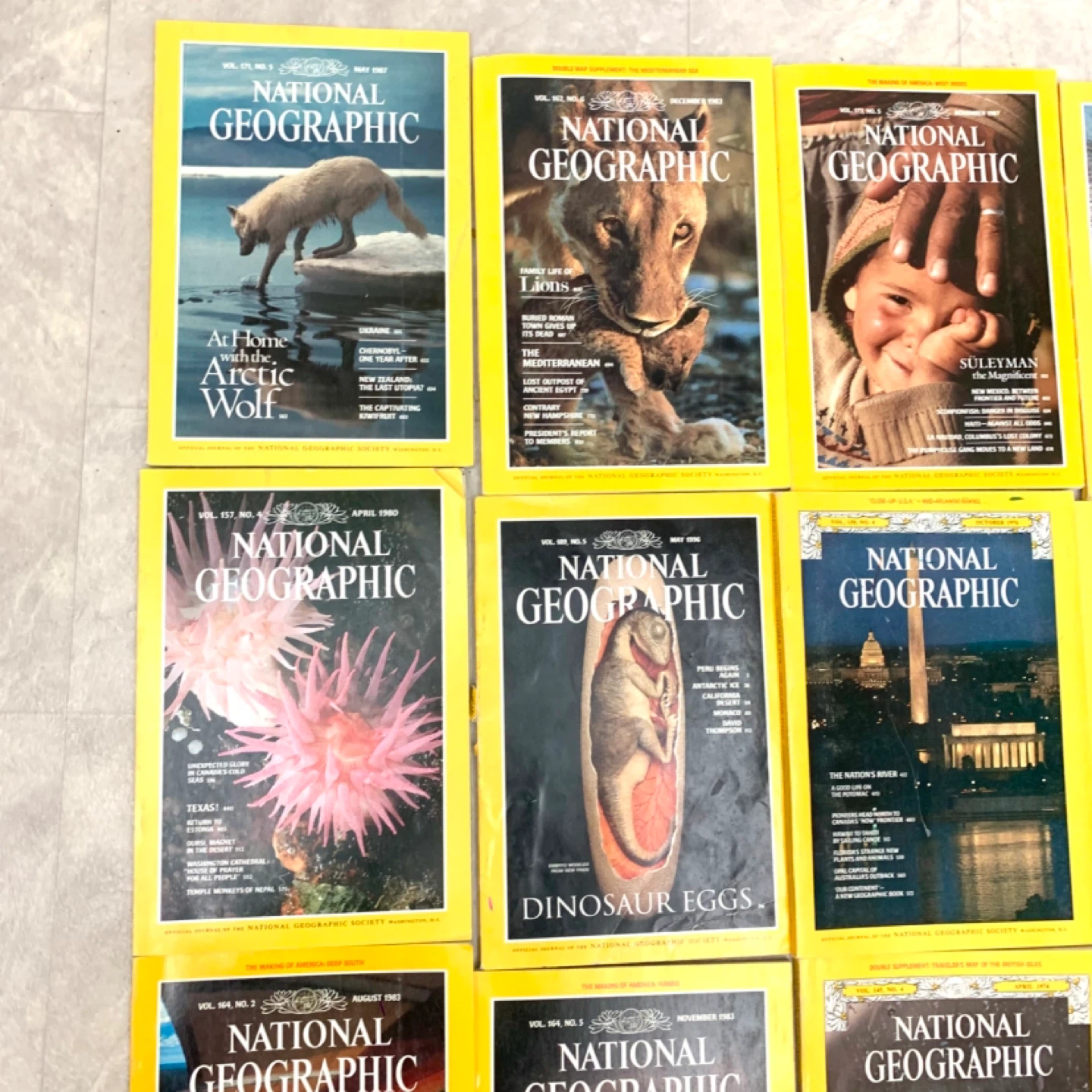 National Geographic Magazines Collection 25 Issues Magazine Lot - photo 2