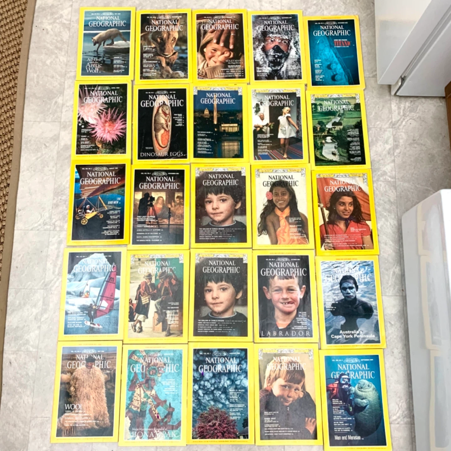 National Geographic Magazines Collection 25 Issues Magazine Lot