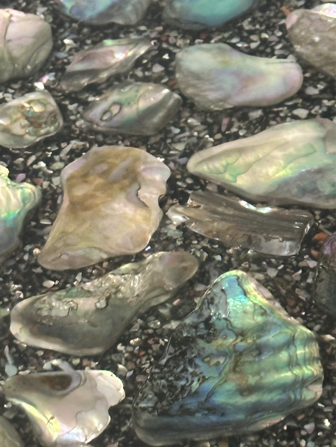 Mid Century abalone shell side table - photo 3