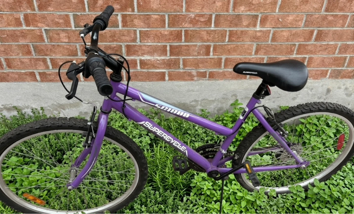 Supercycle SC1800 Bike - Great Condition