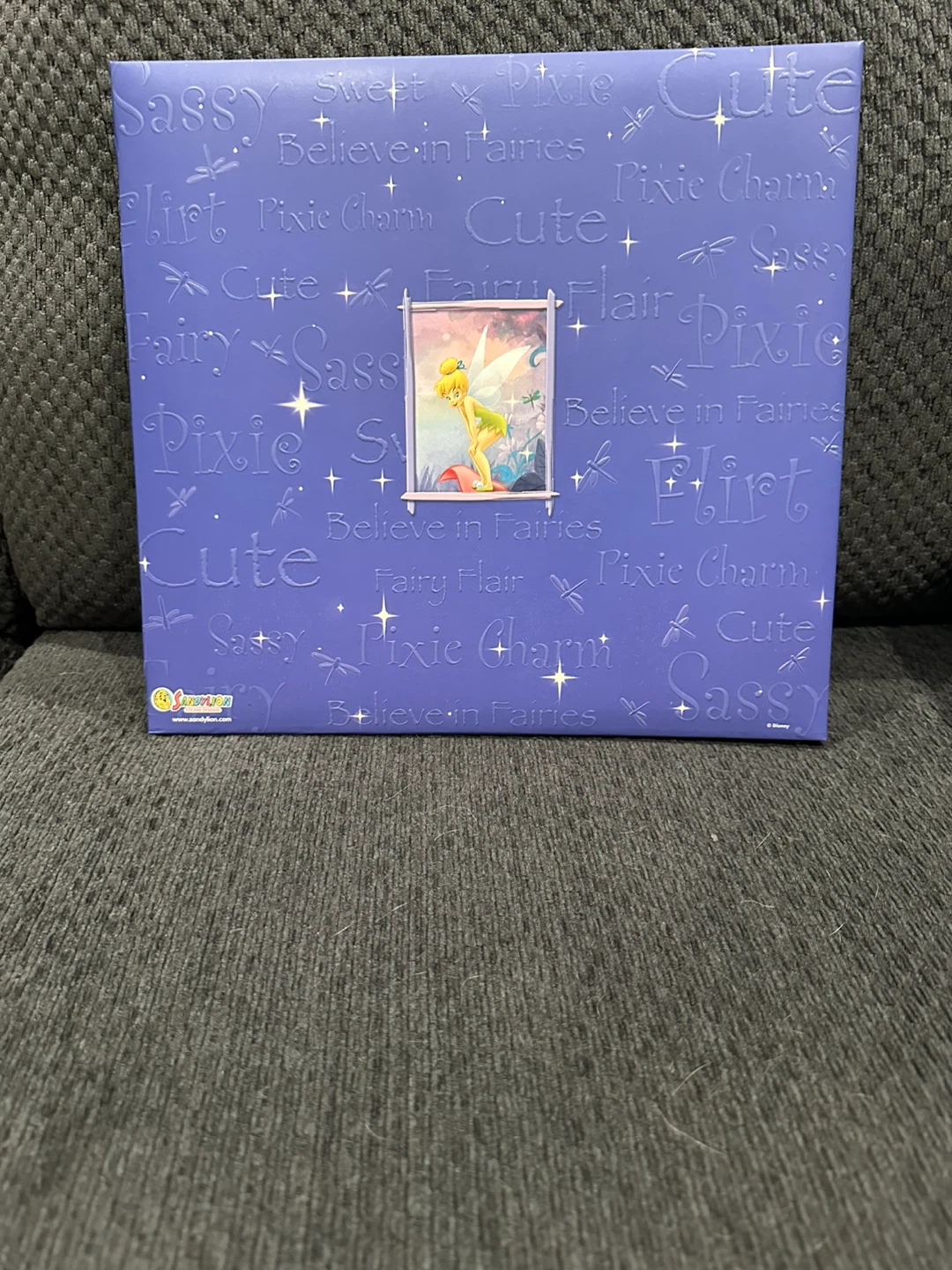 Tinker Bell Scrapbook - photo 3