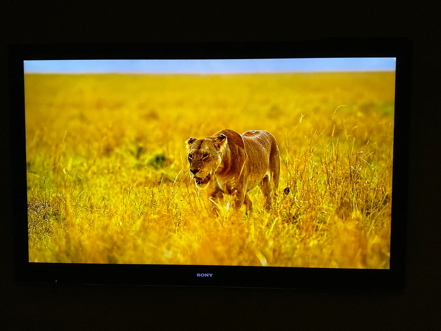 SONY 3D LED XBR 60” HDTV - photo 2