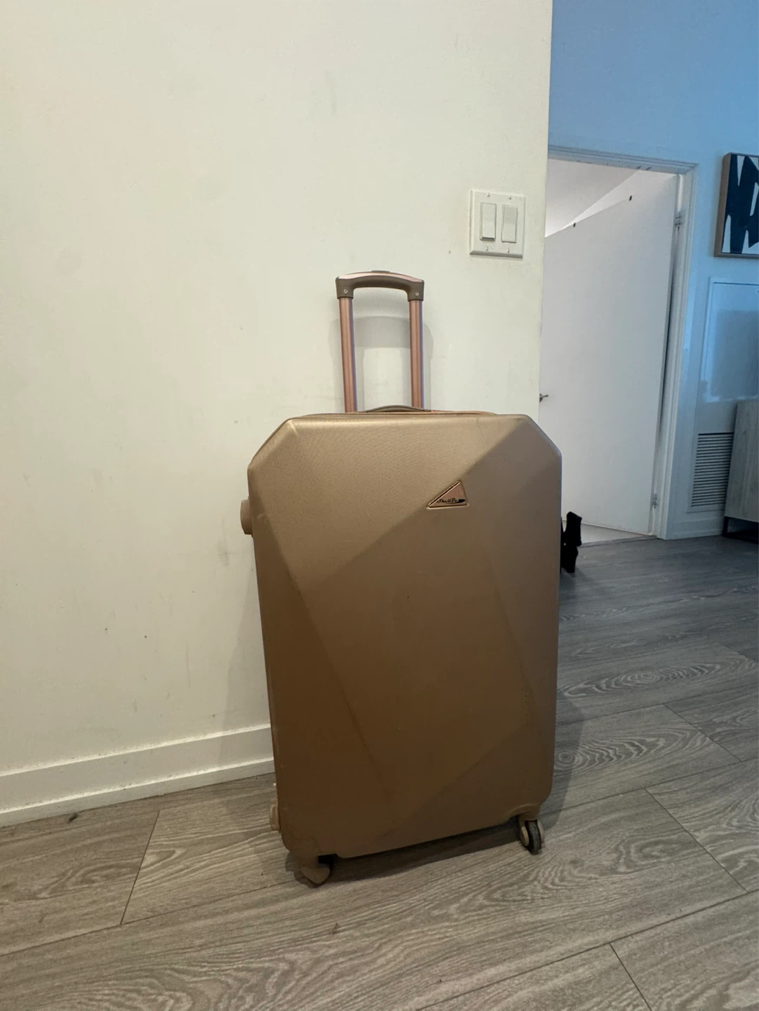 Rose Gold Hardside Spinner Luggage - photo 2