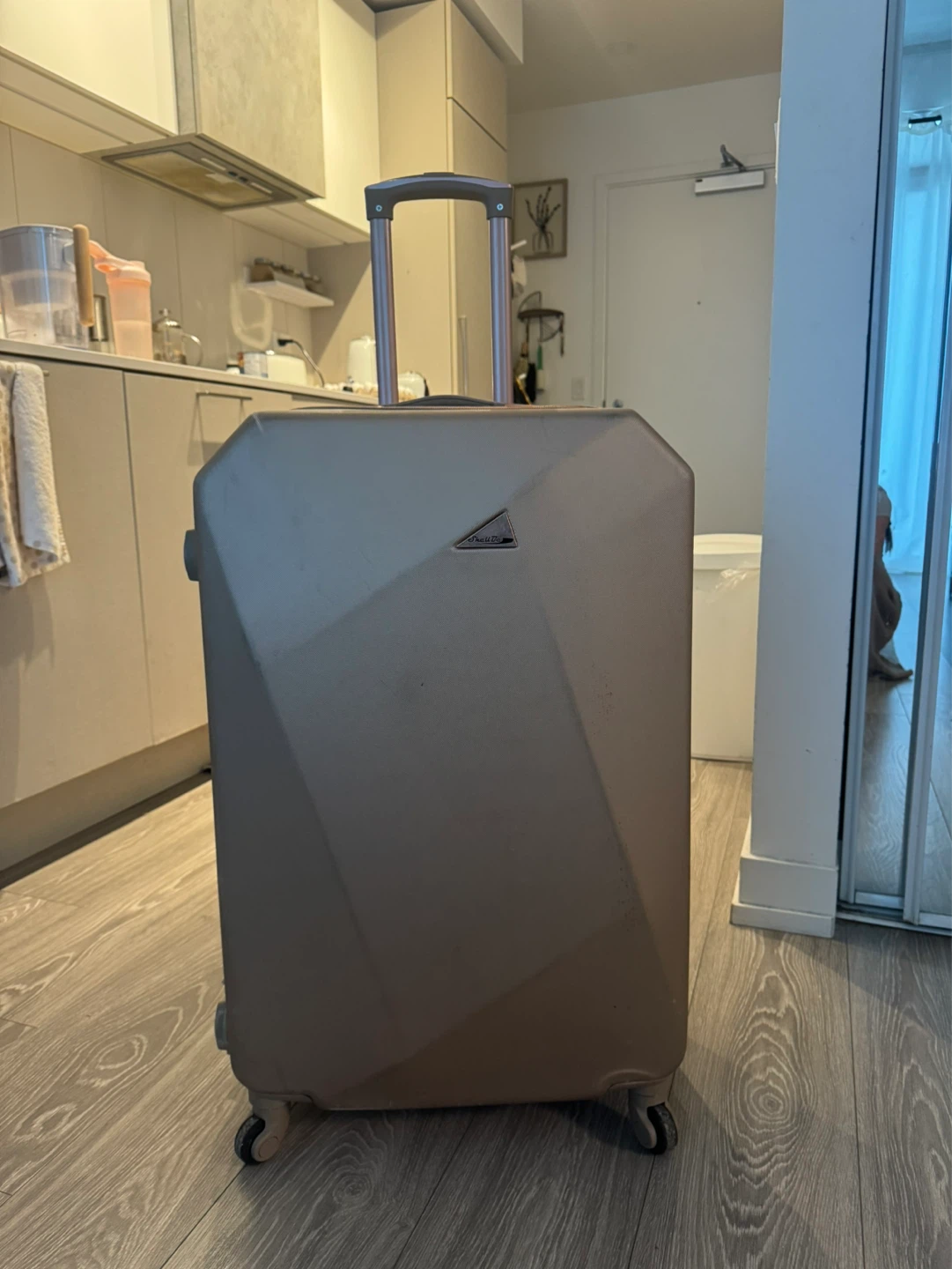 Rose Gold Hardside Spinner Luggage