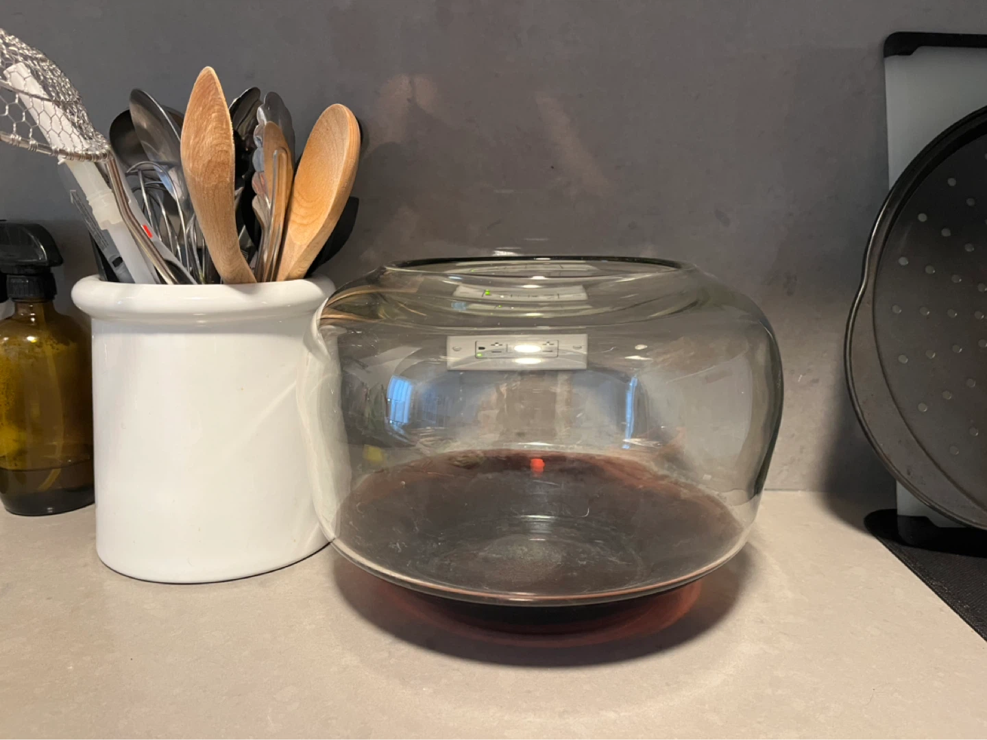 West Elm Large Decor Glass Bowl