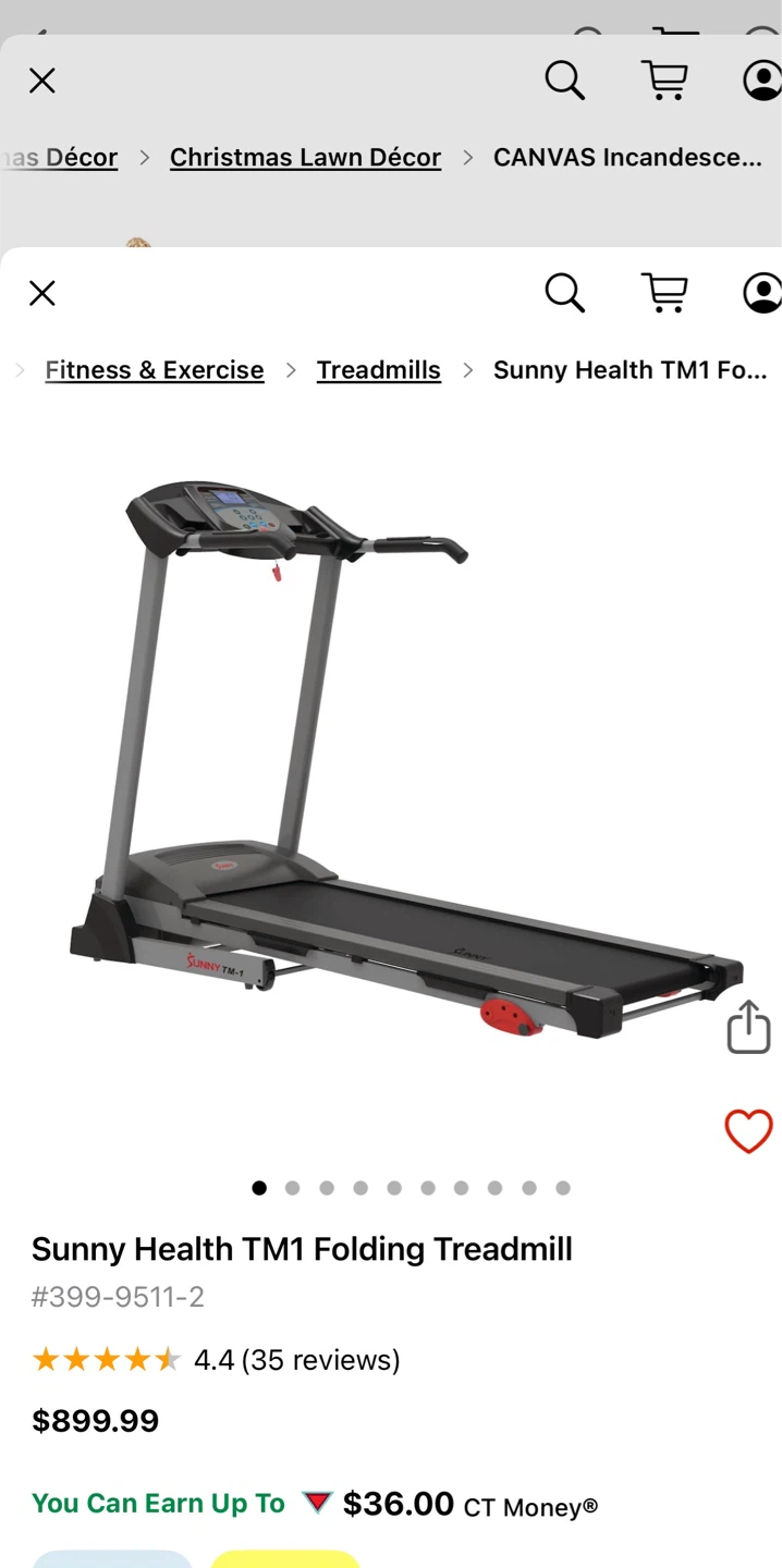 Sunny Treadmill