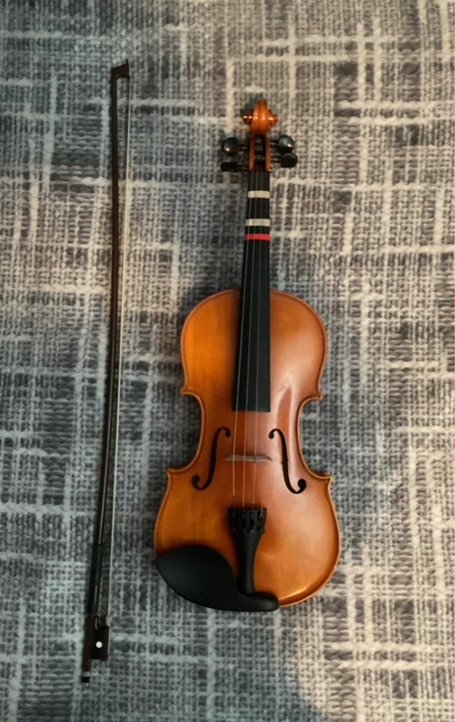 Samuel Eastman VL100 4/4 Outfit Violin - photo 2