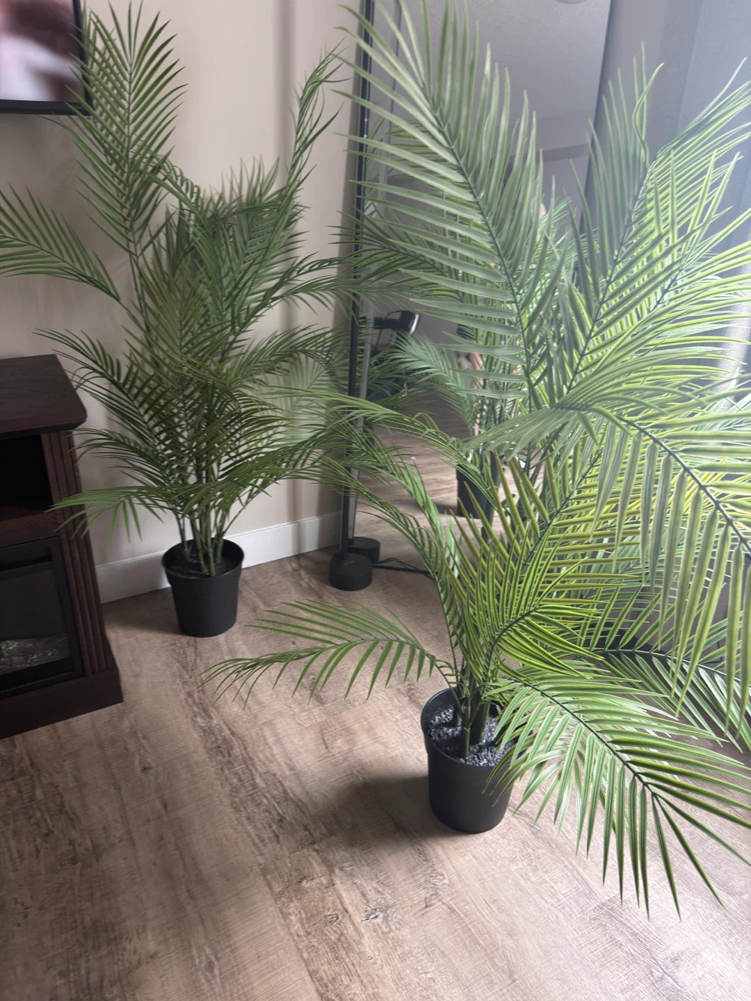 Artificial Areca Palm Plant x 2