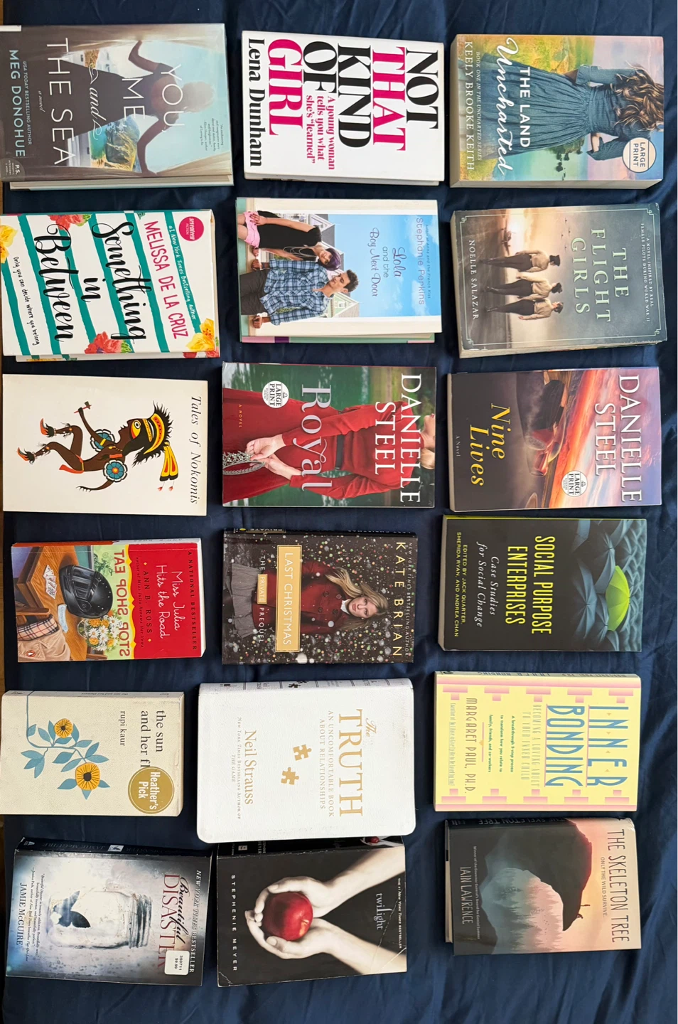 Assorted Novels - Danielle Steel, Melissa de la Cruz, and more