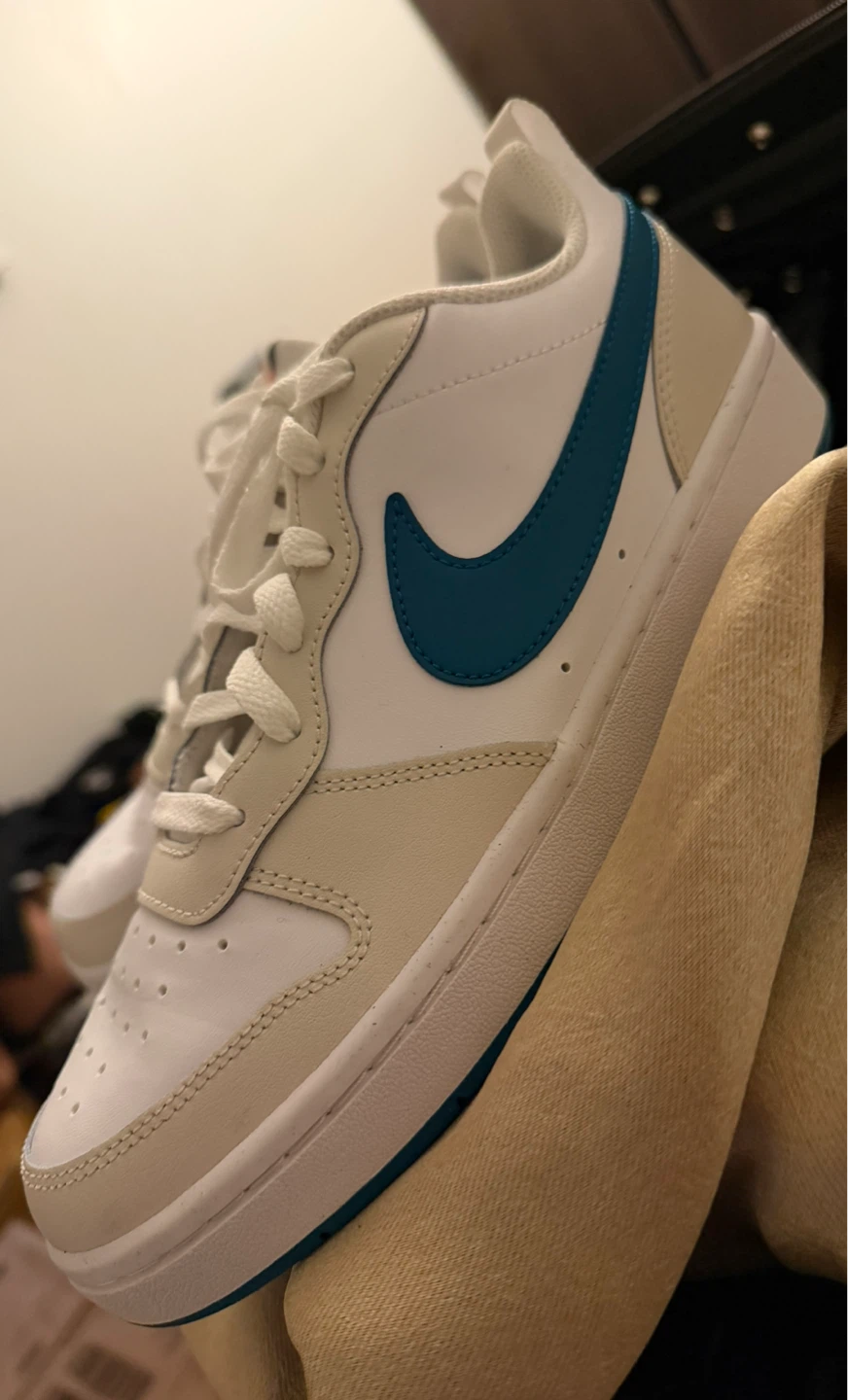 Nike Court Vision Low Shoes