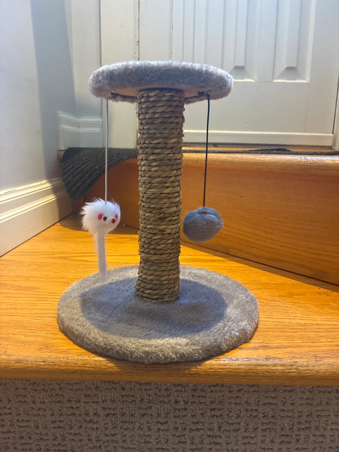 Small Cat Scratching Post