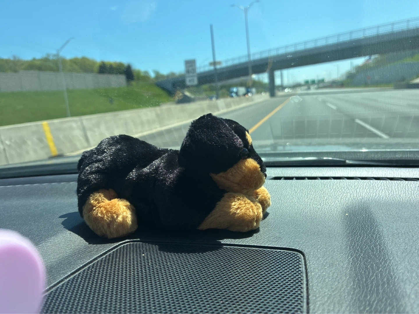 Plush Dachshund Dog Toy