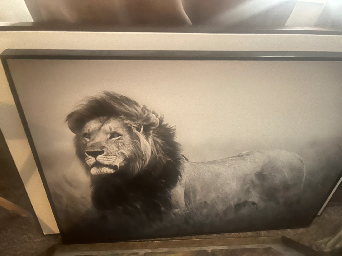 Framed Lion Wall Art Print