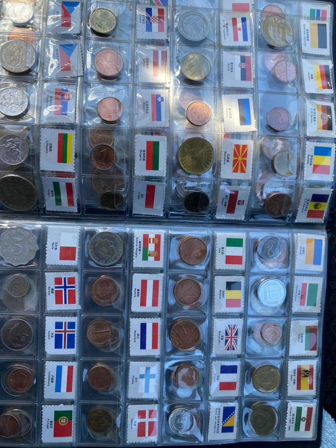 Collection of Global Coins and Flags - photo 4