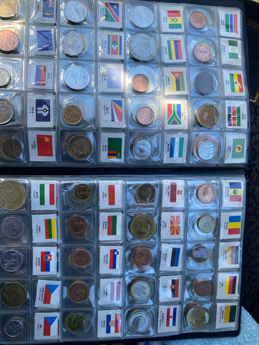 Collection of Global Coins and Flags - photo 3