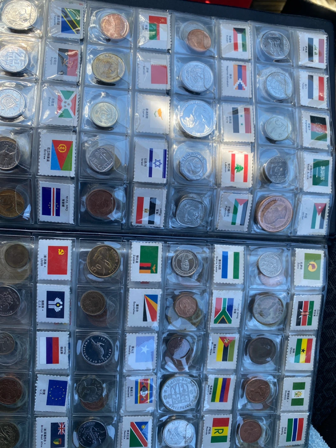 Collection of Global Coins and Flags - photo 2