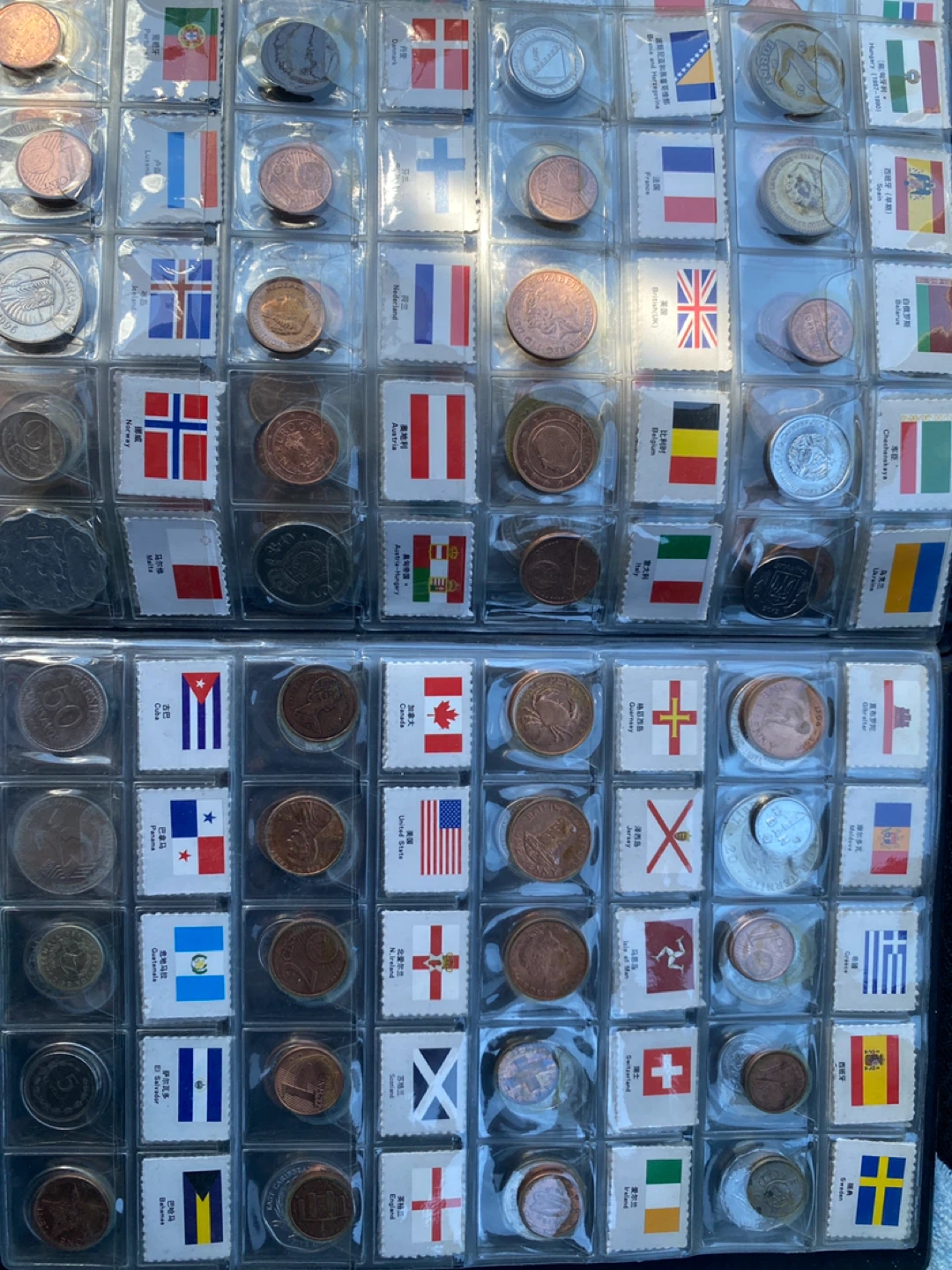 Collection of Global Coins and Flags - photo 5