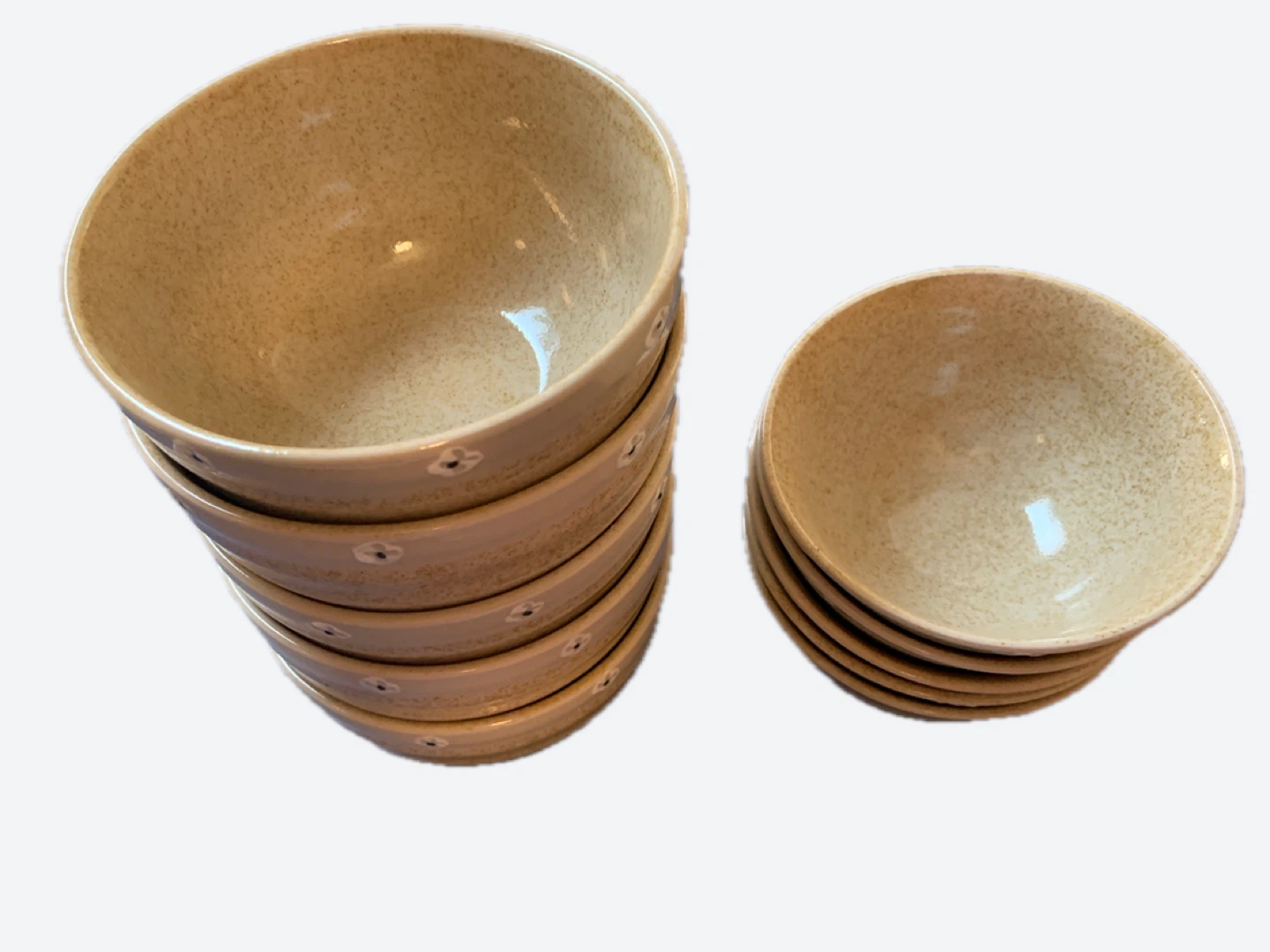 Set of 10 Beige Ceramic Bowls with Flower Detail