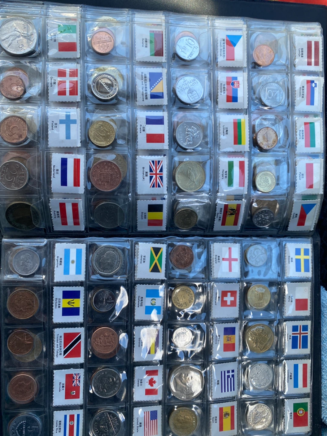 Collection of Global Coins and Flags - photo 4