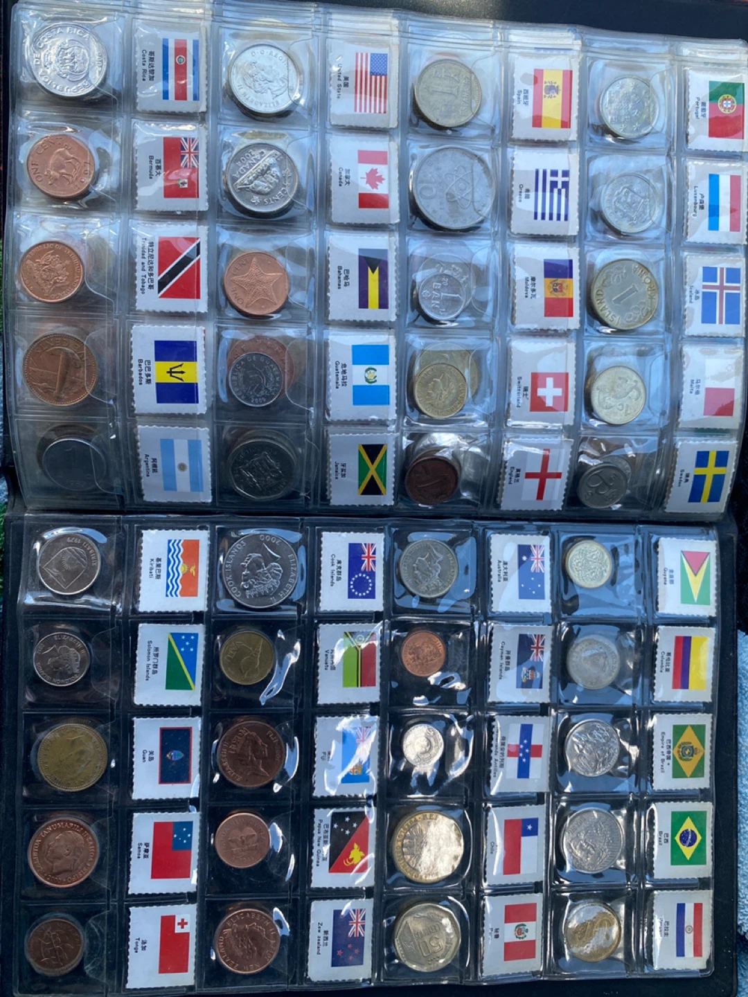 Collection of Global Coins and Flags - photo 5