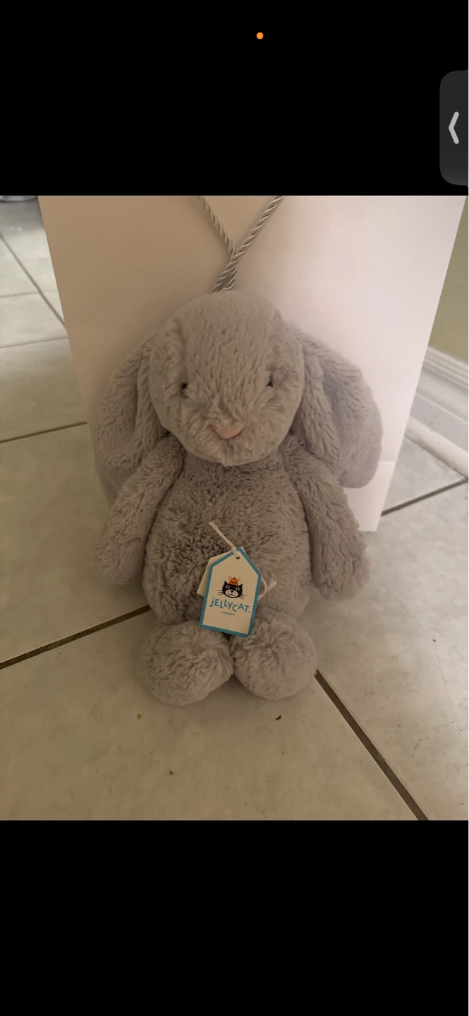 Jellycat Bashful Bunny Plush Toy