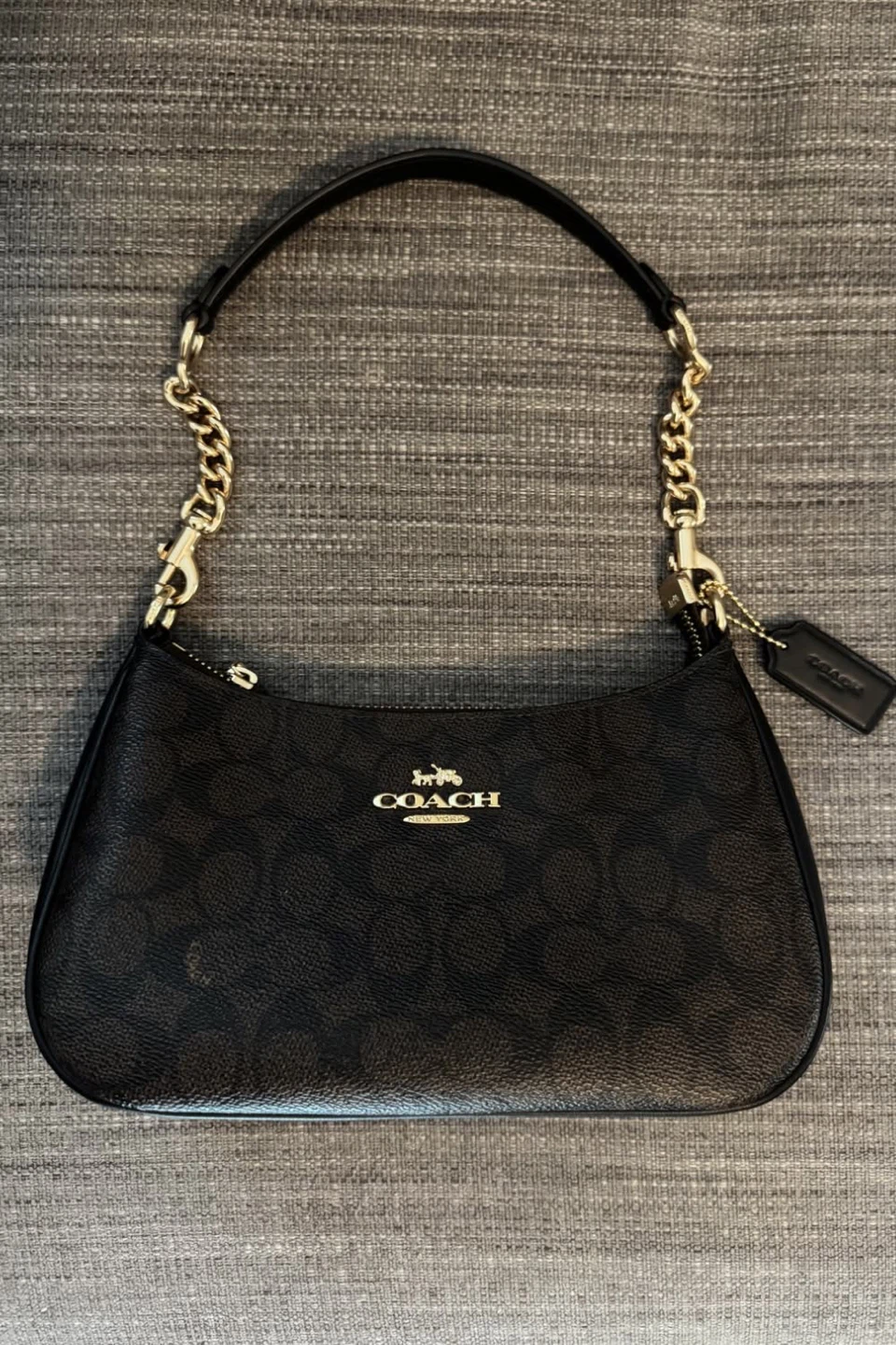 Coach Signature Canvas Teri Bag