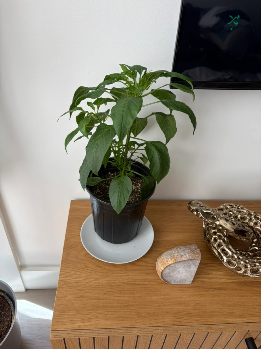 Modern White Ceramic Decorative Vase - photo 2