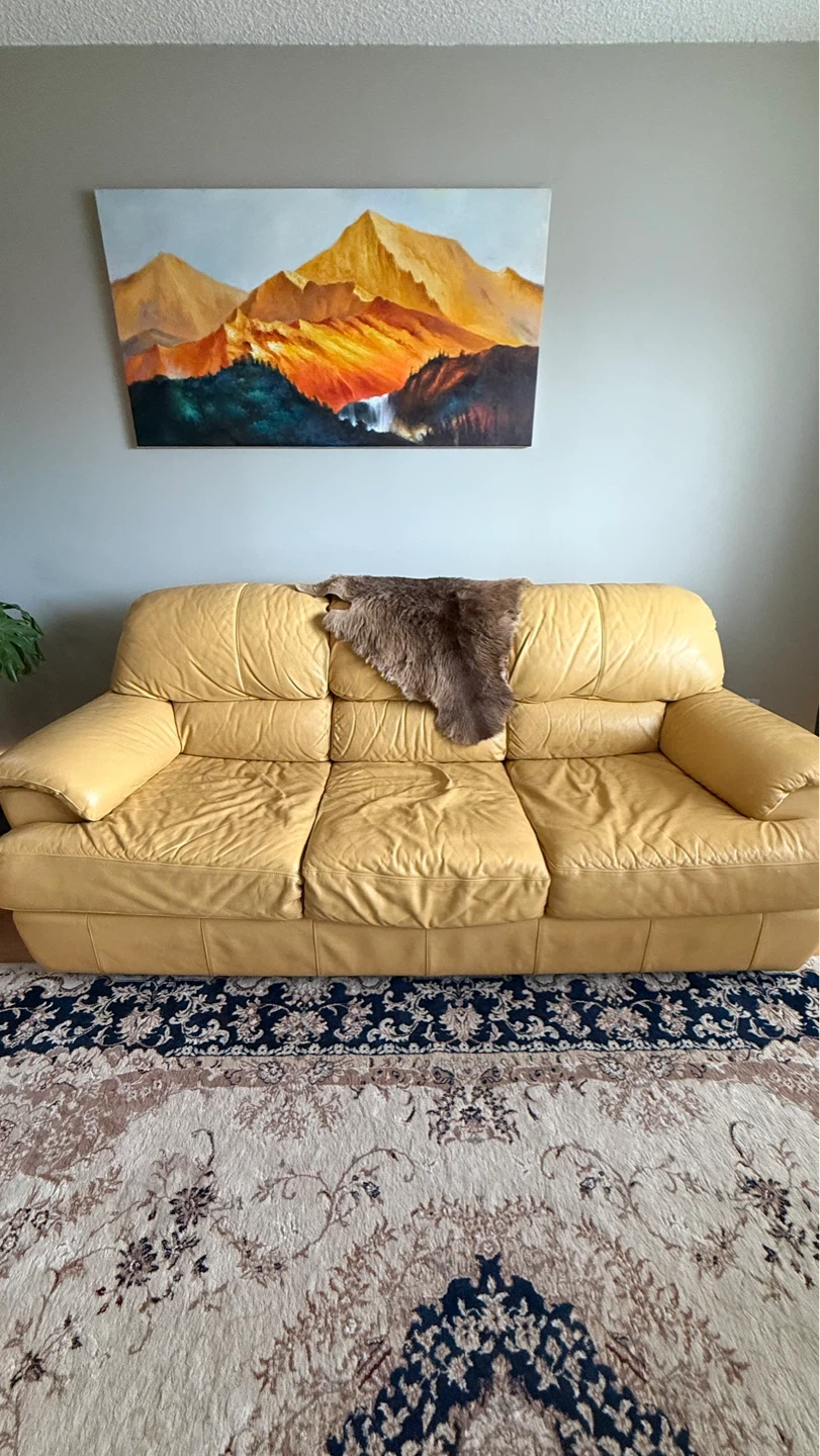 Leather couches for sale