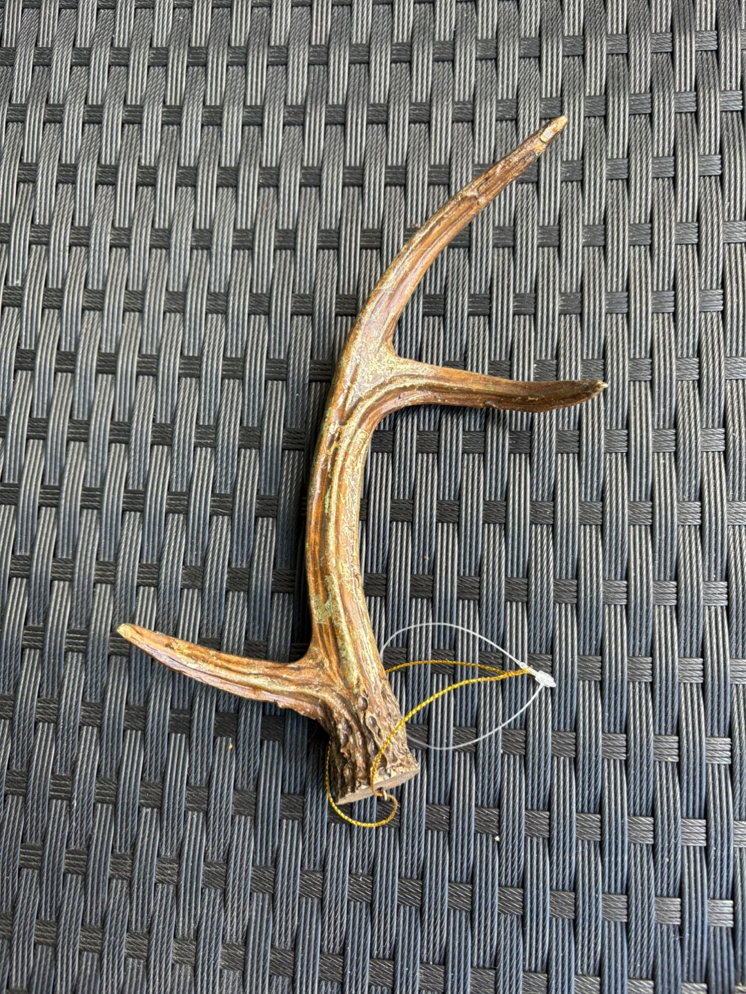 Deer Antler Ornament